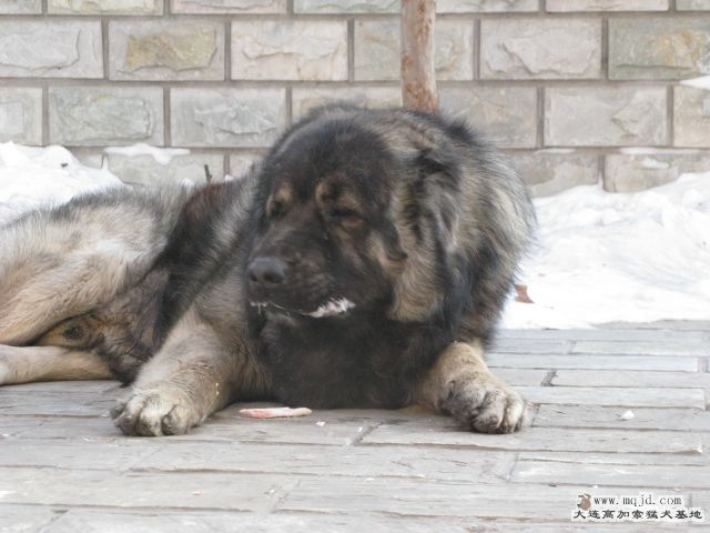 Ƭ20100112 033.jpg