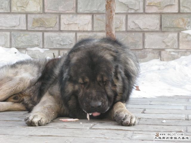 Ƭ20100112 034.jpg