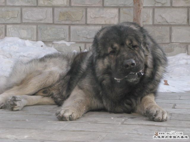Ƭ20100112 030.jpg