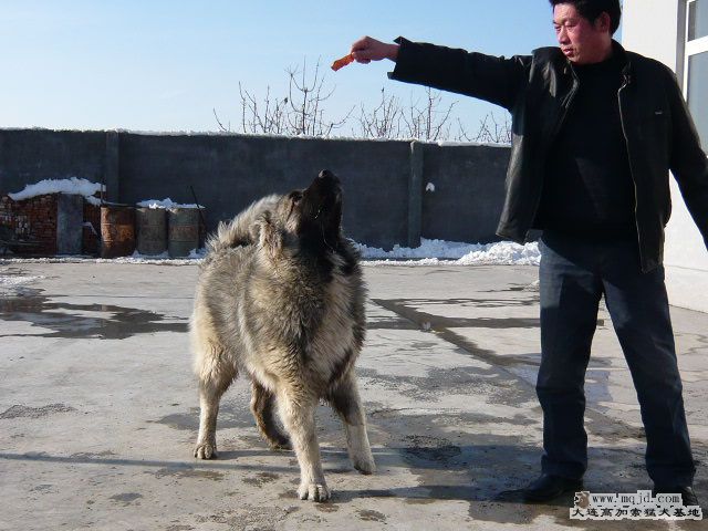 P1030405.JPG