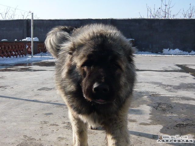 P1030409.JPG