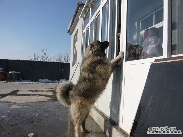 P1030397.JPG
