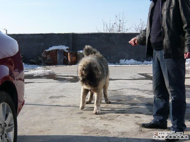 P1030406.JPG