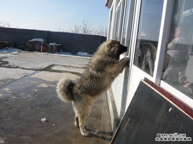 P1030399.JPG