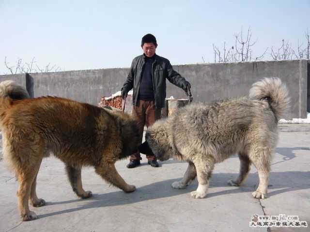 P1030494.JPG