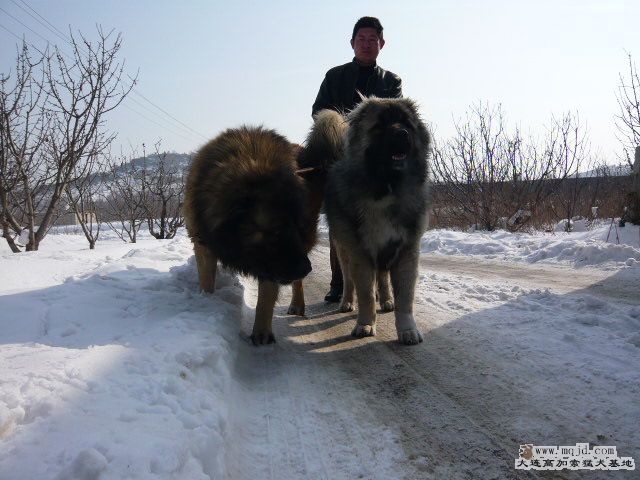 P1030519.JPG