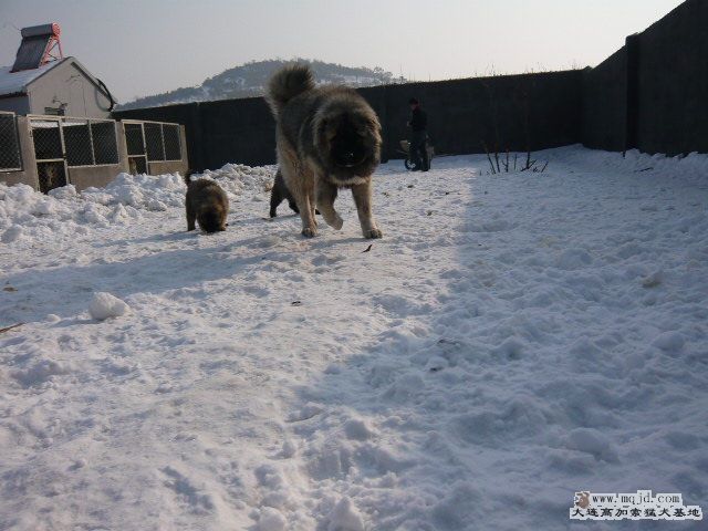 P1030477.JPG