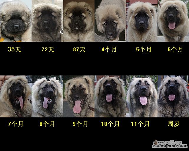 1-12mth_640x5126.JPG