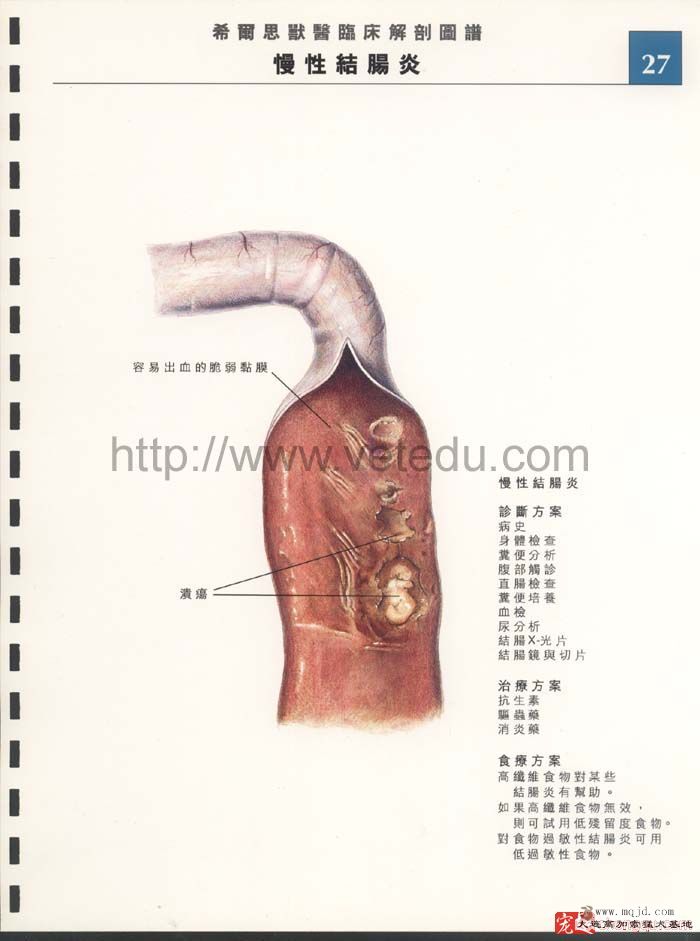 27Խ᳦.jpg