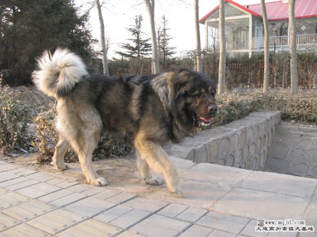 Ƭ20100214 084.jpg