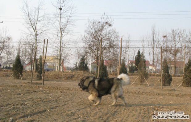 Ƭ2010214 051.jpg