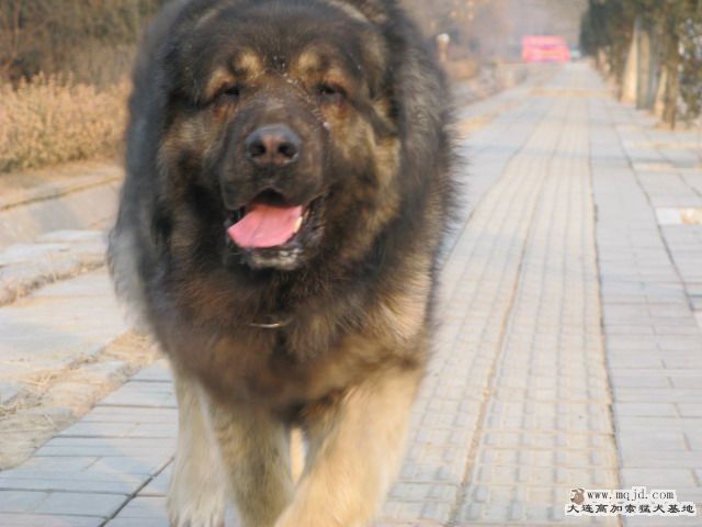 Ƭ20100214 094.jpg