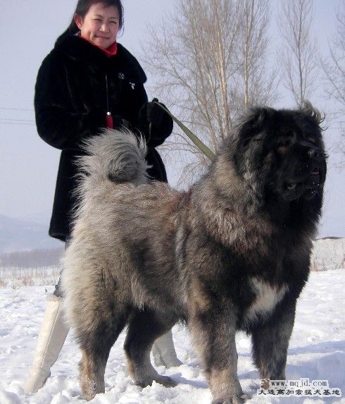 СĴ.jpg