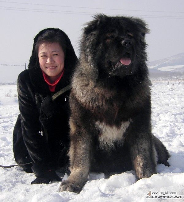 Сķ.jpg