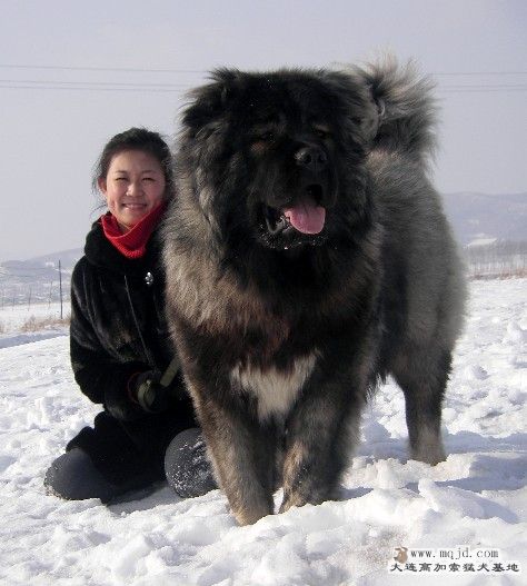 СĴ1.jpg