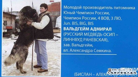 20091202_12a4455d031e432a895bQYJa0VWF26bo.jpg