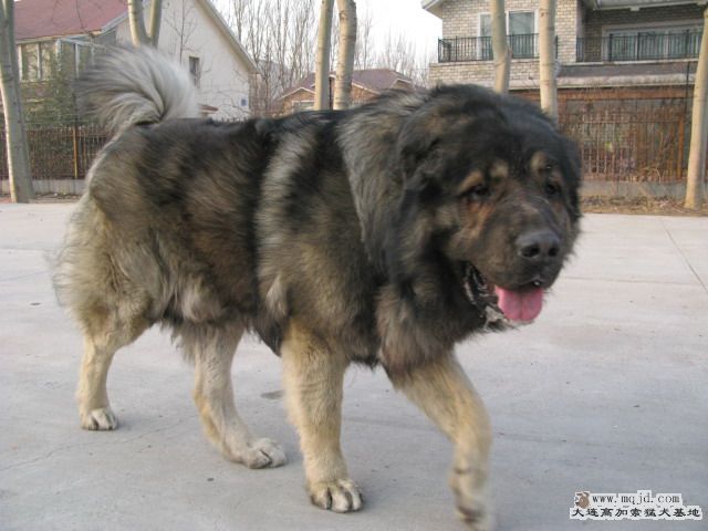 Ƭ20100214 082.jpg