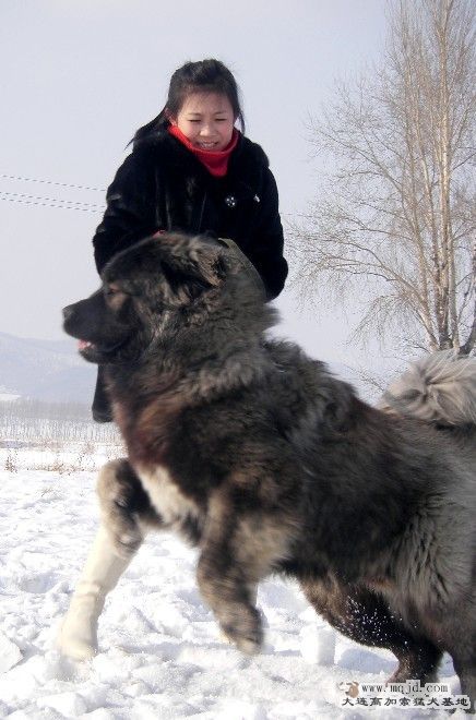 СĴ.jpg3.jpg