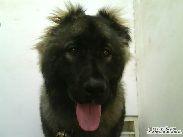 Ƭ0120.jpg