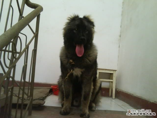 Ƭ0122.jpg