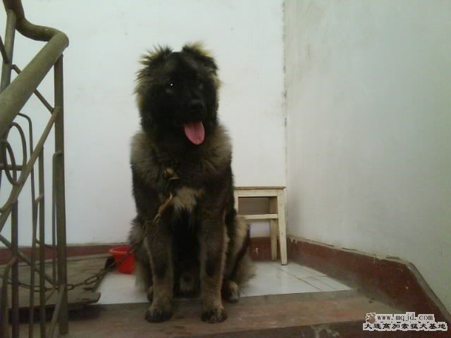 Ƭ0121.jpg