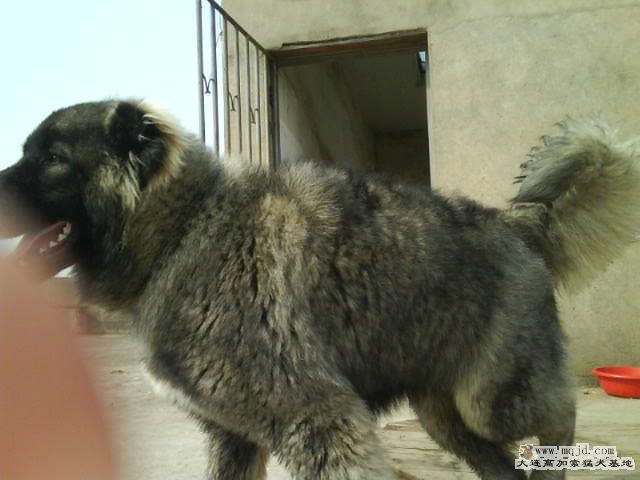 Ƭ0116.jpg