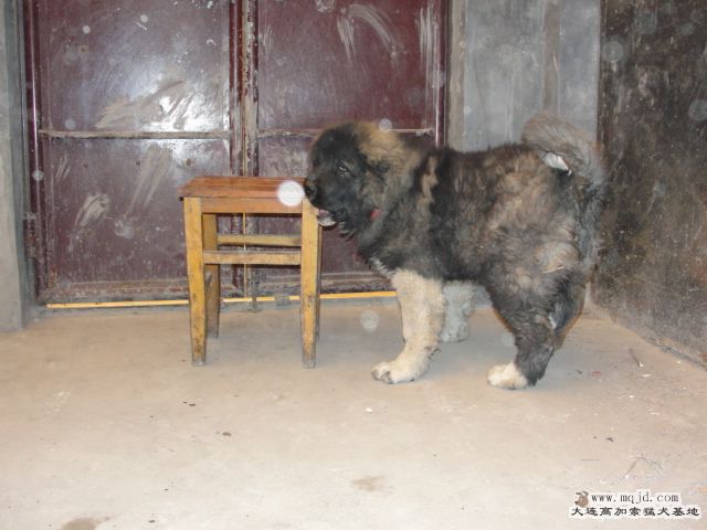 DSC00171.JPG