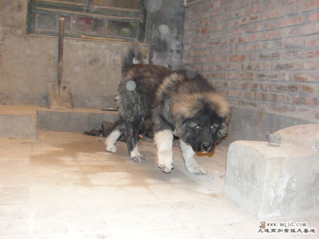 DSC00162.JPG