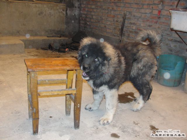 DSC00169.JPG