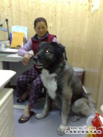 200912281376.jpg