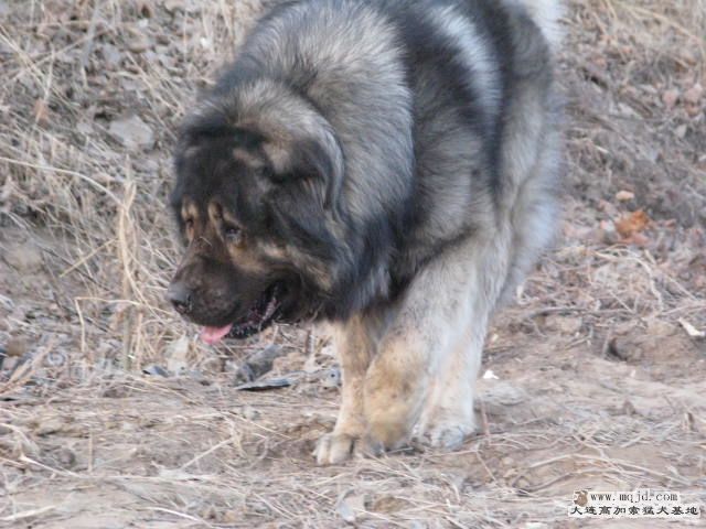 Ƭ20101131 110.jpg