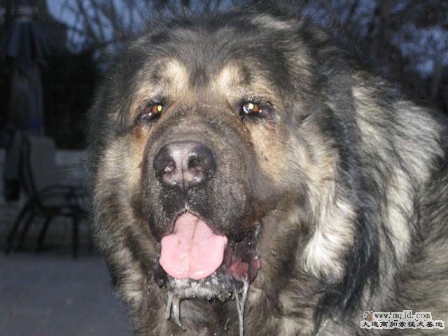 Ƭ20101131 123.jpg
