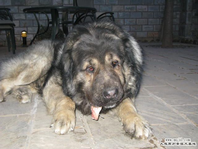 Ƭ20101131 127.jpg