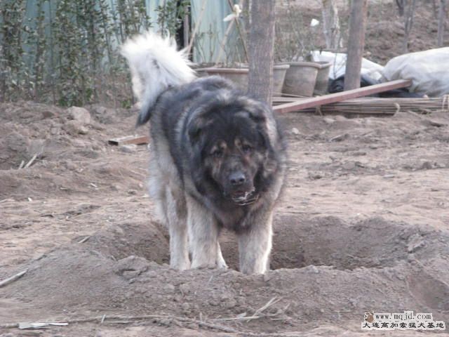Ƭ20101131 107.jpg
