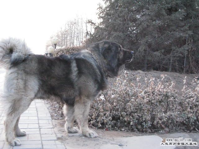 Ƭ20101131 121.jpg