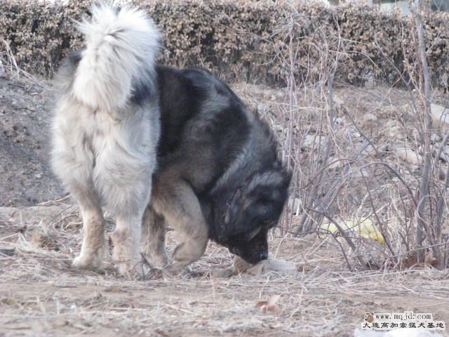 Ƭ20101131 114.jpg