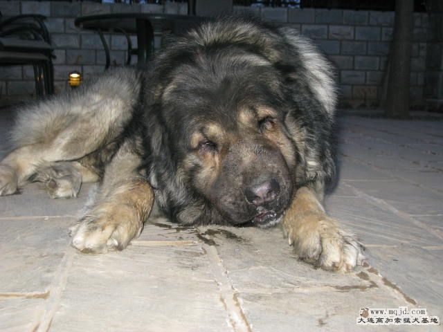 Ƭ20101131 129.jpg