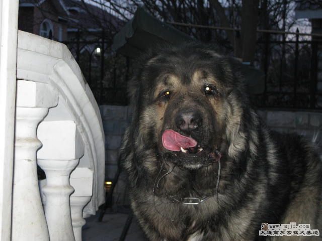 Ƭ20101131 125.jpg