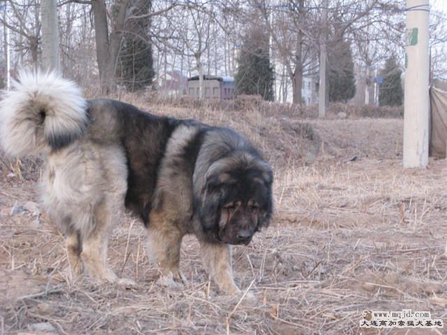 Ƭ20101131 112.jpg