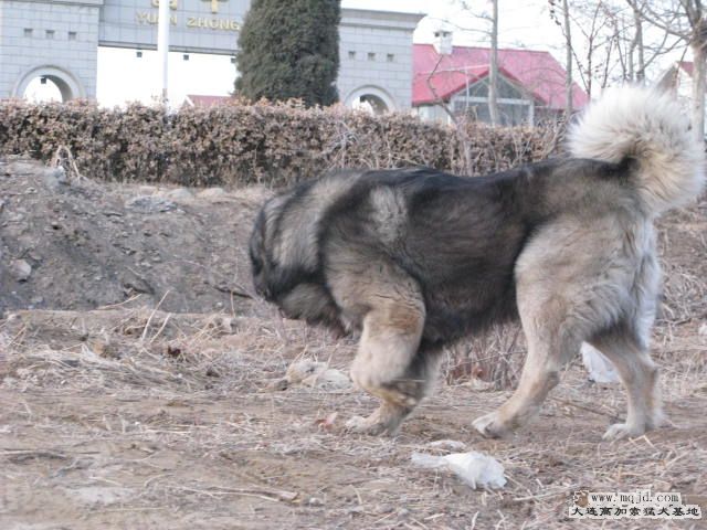 Ƭ20101131 113.jpg