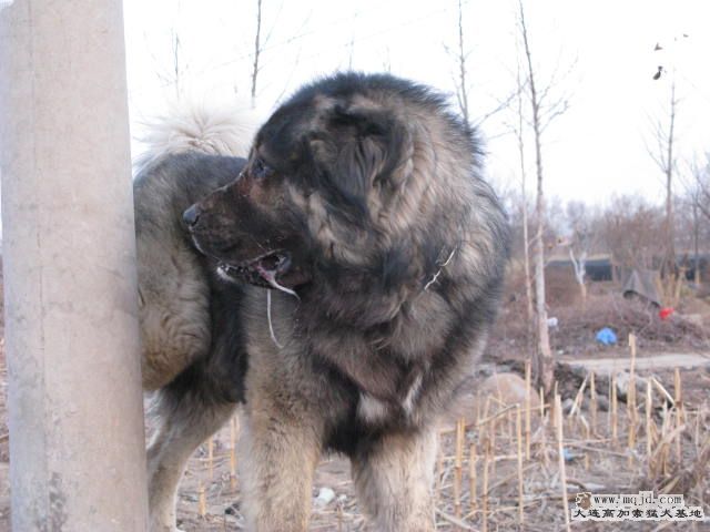 Ƭ20101131 120.jpg