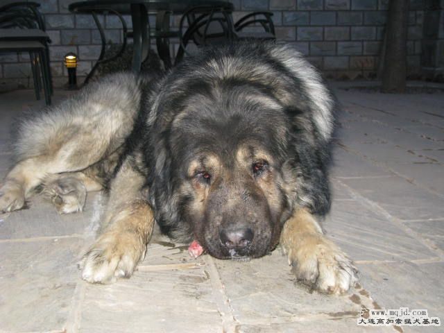 Ƭ20101131 128.jpg
