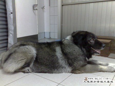 201003181549.jpg