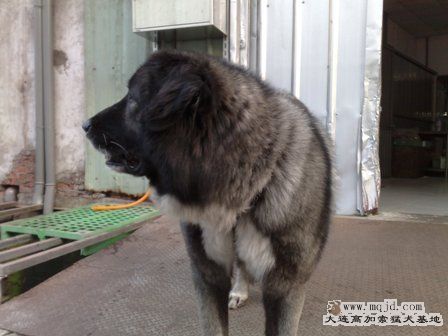 201003181548.jpg