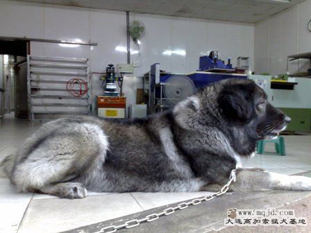 201003211556.jpg