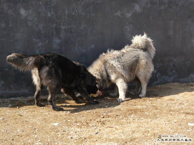 P1030829.JPG