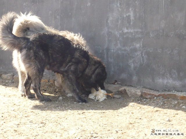 P1030832.JPG