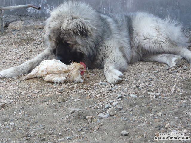 P1030856.JPG