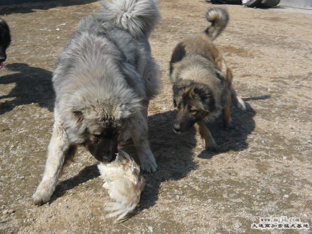 P1030840.JPG