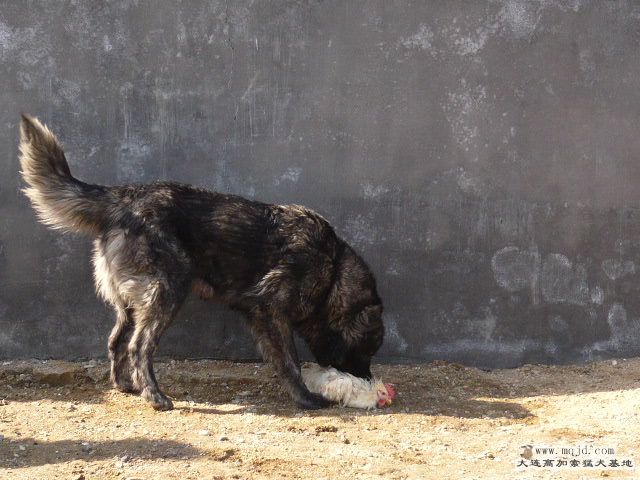P1030830.JPG